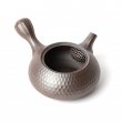 Kyusu Banko Iroku Maruhari
