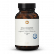 Migra Complex Q10, Magnesium, Acetyl-L-Carnitine, B2