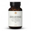 Sibirischer Ginseng Taigawurzel Extrakt