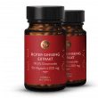 Roter Ginseng Extrakt 19,5%
