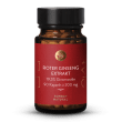 Roter Ginseng Extrakt 19,5%