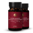 Red Ginseng Fermented Extract