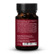 Red Ginseng Fermented Extract
