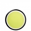 Yame Sencha Ouka Organic