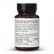 Alpha-GPC 300mg Kapseln