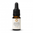 Hemp Seed Oil 20% C'B'D Mild