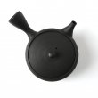 Kyusu Tokoname Gyokko Hira