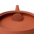 Kyusu Tokoname Jinshu Hira Rot S
