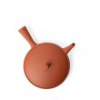 Kyusu Tokoname Jinshu Hira Rot S