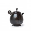 Kyusu Tokoname Setsudo Yohen Kodai 2 schwarz