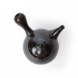 Kyusu Tokoname Setsudo Yohen Kodai 2 schwarz