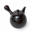 Kyusu Tokoname Setsudo Yohen Kodai 2 schwarz