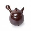 Kyusu Tokoname Setsudo Yohen Kodai 3 braun