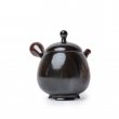 Kyusu Tokoname Setsudo Yohen Kodai 4 schwarz-braun