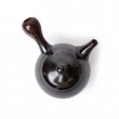Kyusu Tokoname Setsudo Yohen Kodai 4 schwarz-braun