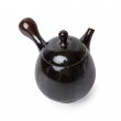 Kyusu Tokoname Setsudo Yohen Kodai 4 schwarz-braun