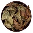 Aged Baoshan Shou Mei 2018 Pest.Free Farming