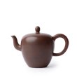 Nixing Teapot Beauty's Shoulder