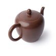 Nixing Teapot Beauty's Shoulder