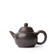 Nixing Teapot Shuiping