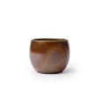 Nixing Teacup Glazed Wood Fired