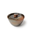  Xu Ni Gaiwan Holzgefeuert Klein