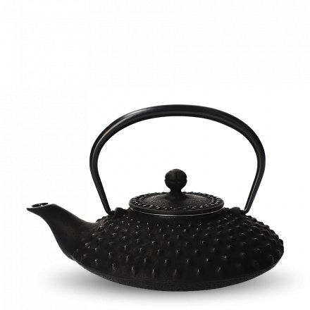 Japanese Cast Iron Teapot Black Kambin L Iwachu
