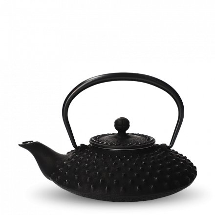 Iwachu Tetsu Kyusu Black Kambin L