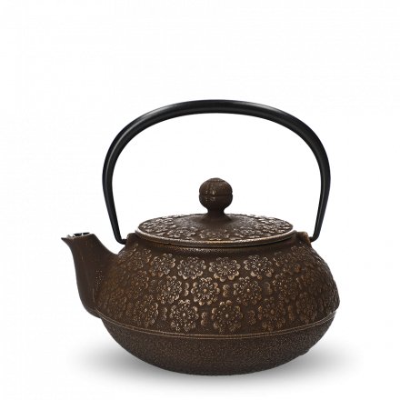 Iwachu Tetsu Kyusu Gold Coffee Sakura