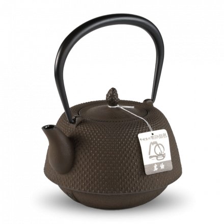 Iwachu Tetsu Kyusu Brown Nanbu Arare