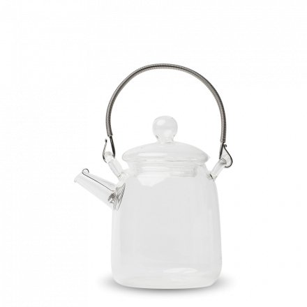 Japanese Glass Teapot Tsutsugata