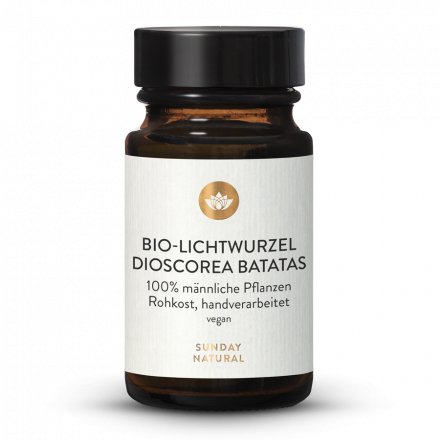 Lichtwurzel Pulver Bio