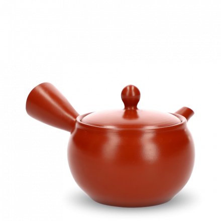 Kyusu Tokoname Fukamushi Aka