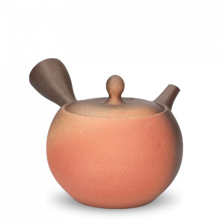 Kyusu Tokoname Isshin Yohen Komadori