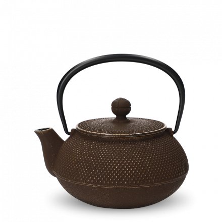 Iwachu Tetsu Kyusu Arare Gold Coffee