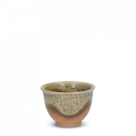 Teacup Tokoname Isshin Irabo