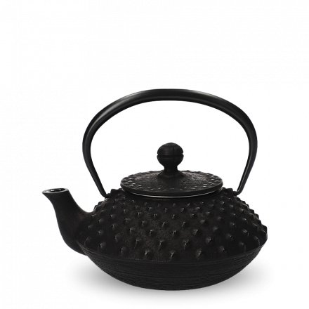Iwachu Tetsu Kyusu Black Hira Arare