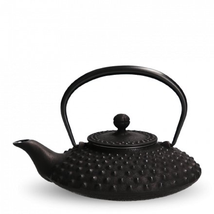 Iwachu Tetsu Kyusu Black Kambin S