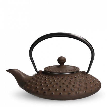 Iwachu Tetsu Kyusu Brown Kambin S