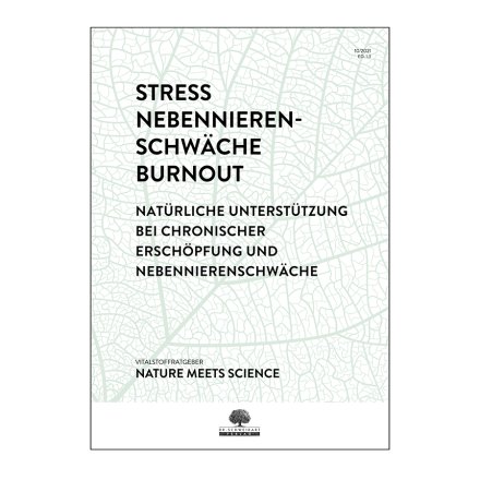 Stress & Burnout