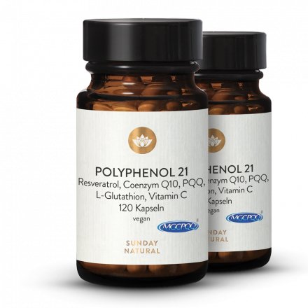 Polyphenol 21 Komplex