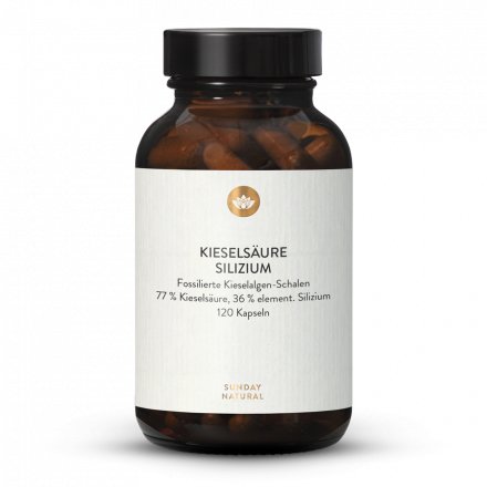 Kieselsäure 350mg Organisches Silizium 