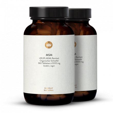 MSM 1000 360 TABLETTEN