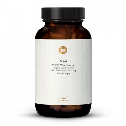 MSM 1000 360 TABLETTEN