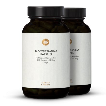 Bio Weizengras Kapseln