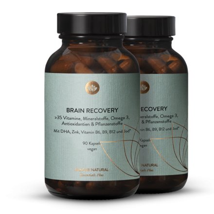 Brain Recovery