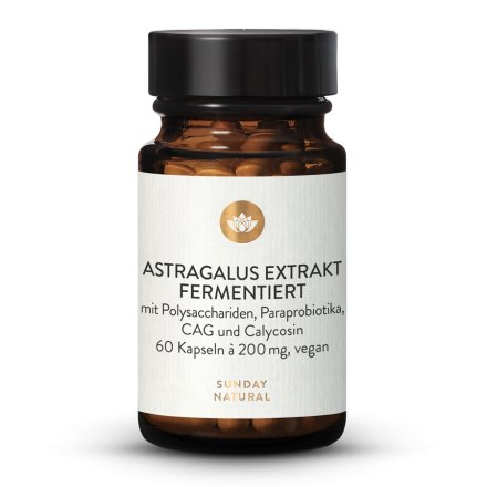 Fermented Astragalus Extract