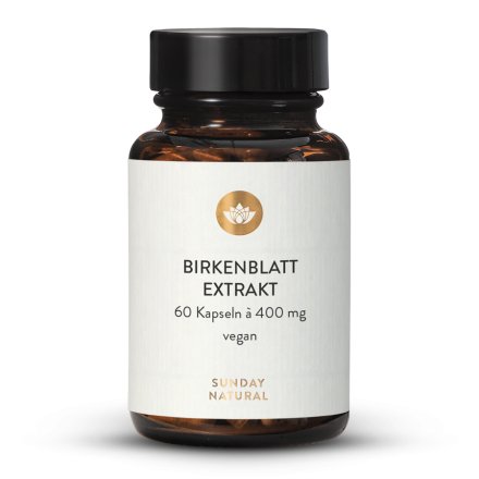 Birkenblatt Extrakt