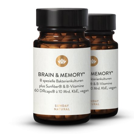 Brain & Memory