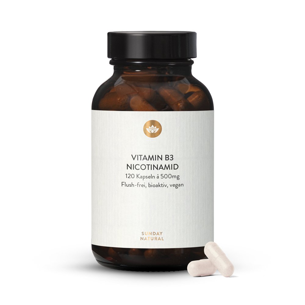 vitamin b3 niacin als bioaktives nicotinamid hochdosiert 500mg ohne zusatze sunday natural